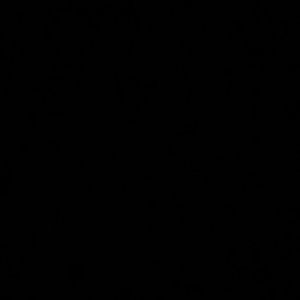 Meet your Posher, Riley